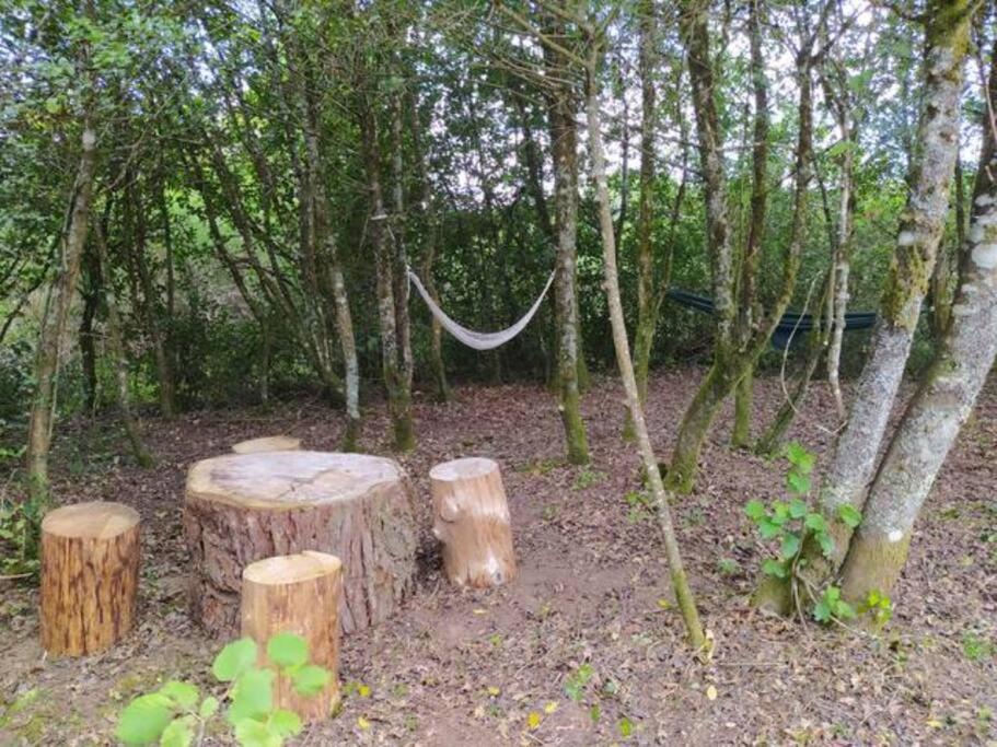 Photo of Others in Marcillac-la-Croisille