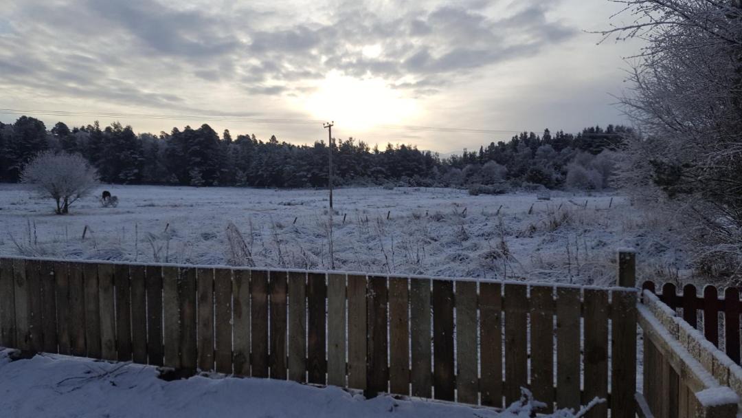 Photo of Others in Grantown-on-Spey