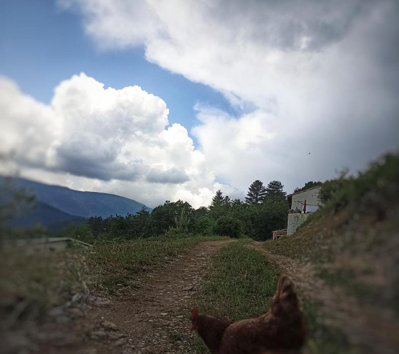 Photo of Outdoor in Aujac