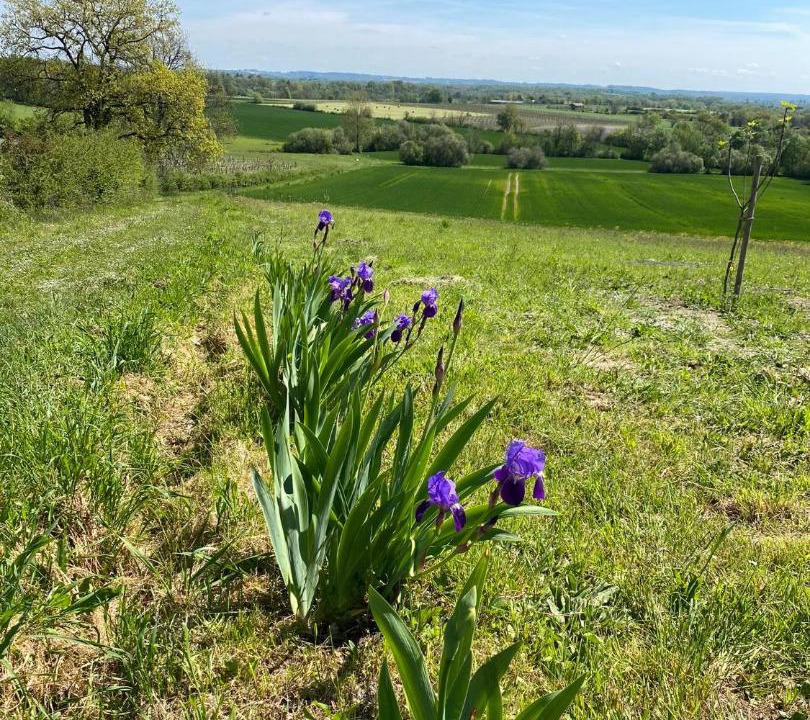 Photo of Others in Boisse