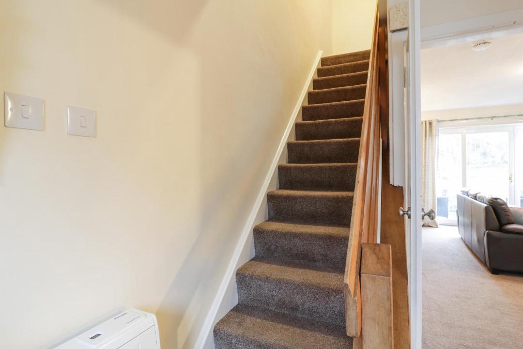 Photo of Others in Newton Stewart