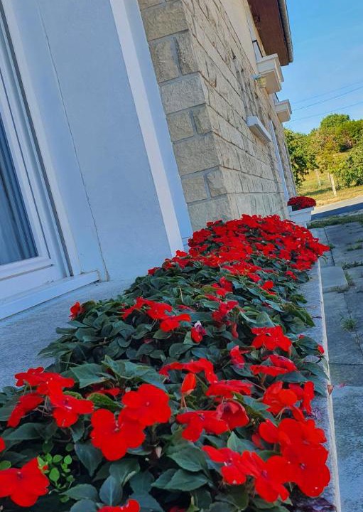 Photo of Others in Le Vieil-Dampierre