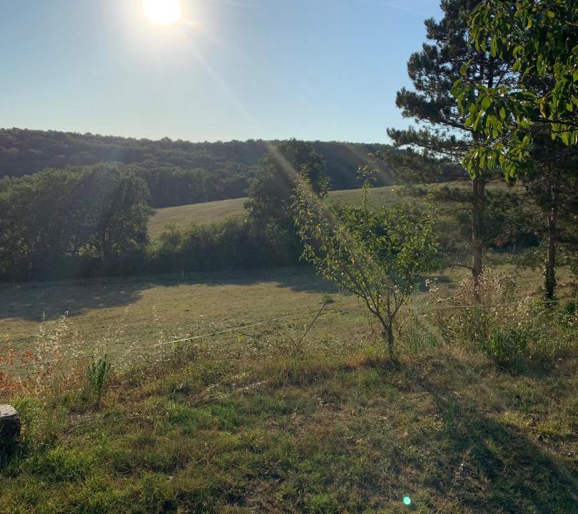 Photo of Outdoor in Damiatte