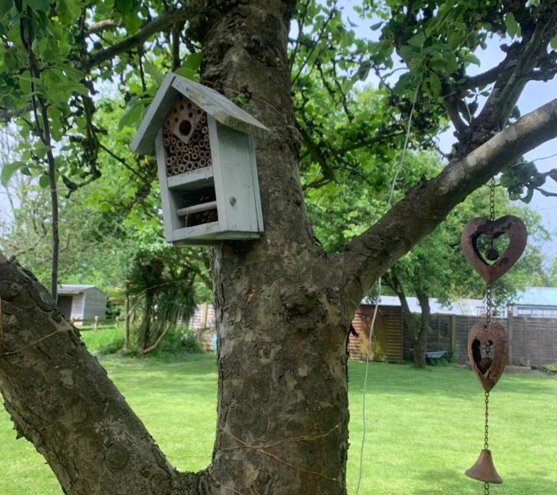 Photo of Others in New Forest District