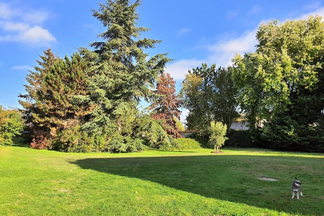 Photo of Others in Gizy