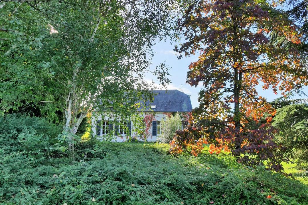 Photo of Others in Gizy