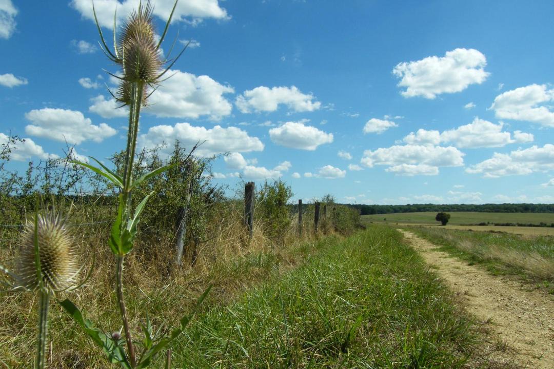 Photo of Others in Champsevraine