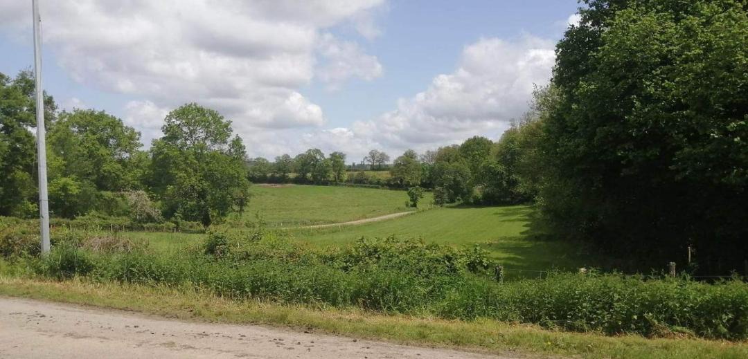 Photo of Others in Rancon