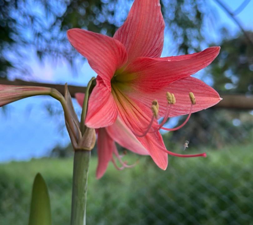 Photo of Outdoor in Tanjung Piandang