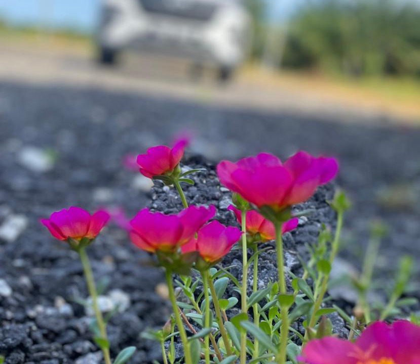 Photo of Outdoor in Tanjung Piandang