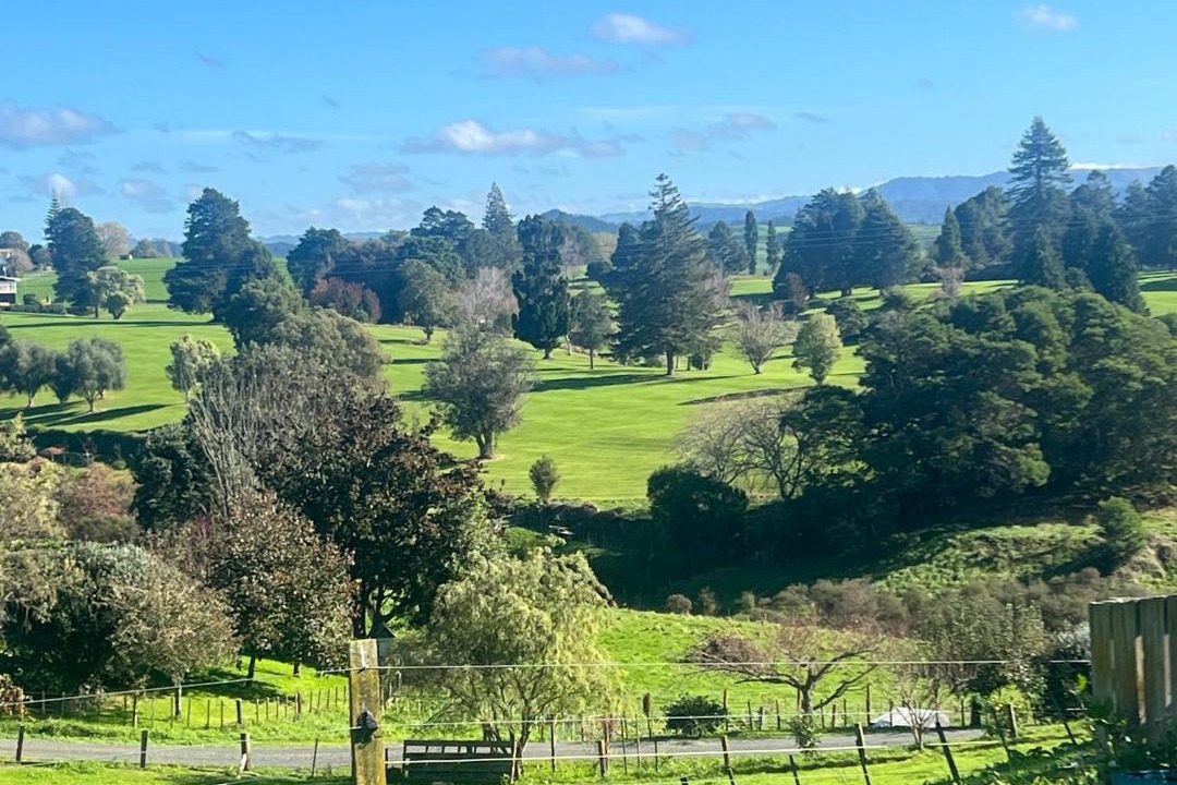 Photo of Others in Waitomo Caves