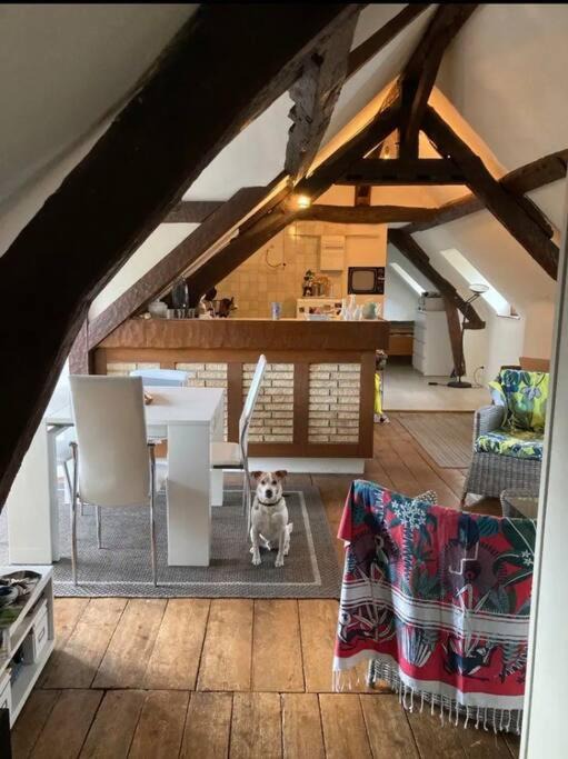 Photo of Others in Dives-sur-Mer