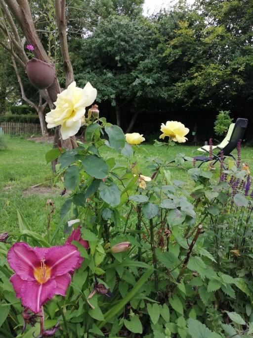 Photo of Others in Arrest