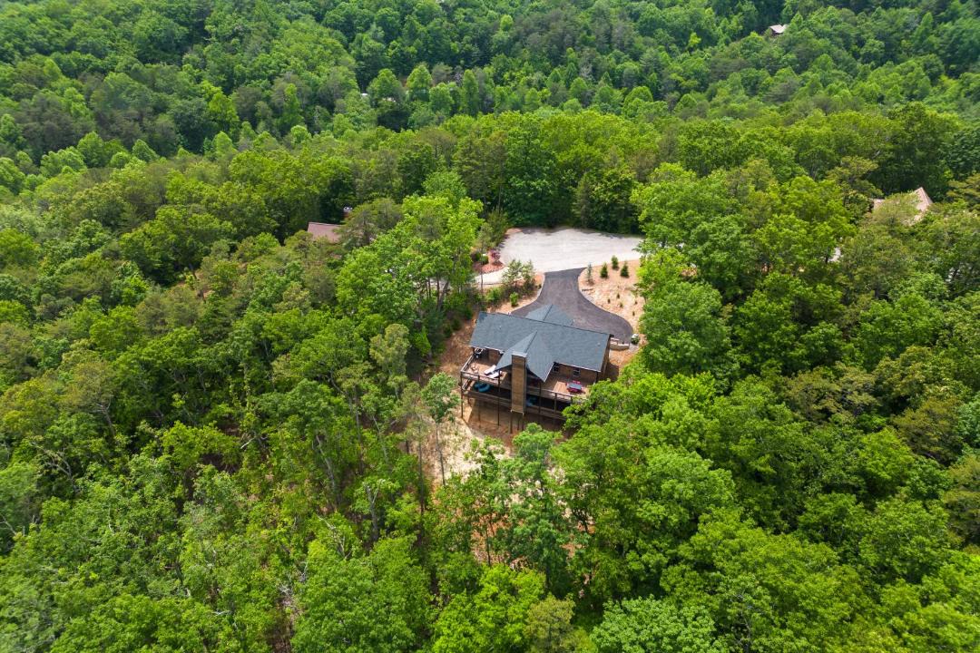 Photo of Others in Cherry Log