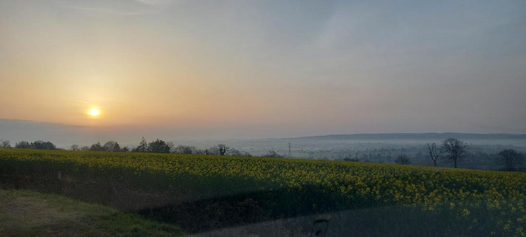 Photo of Others in Montbray