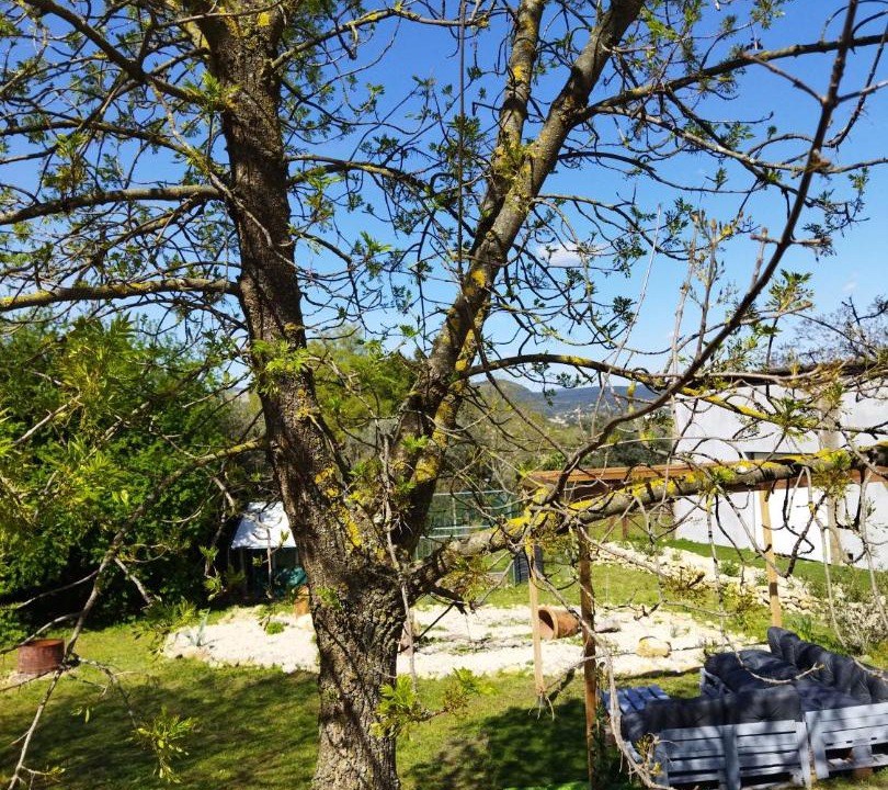 Photo of Outdoor in Saint-Christol-Les-Ales