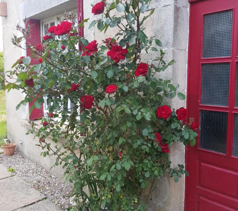 Photo of Others in Le Saint