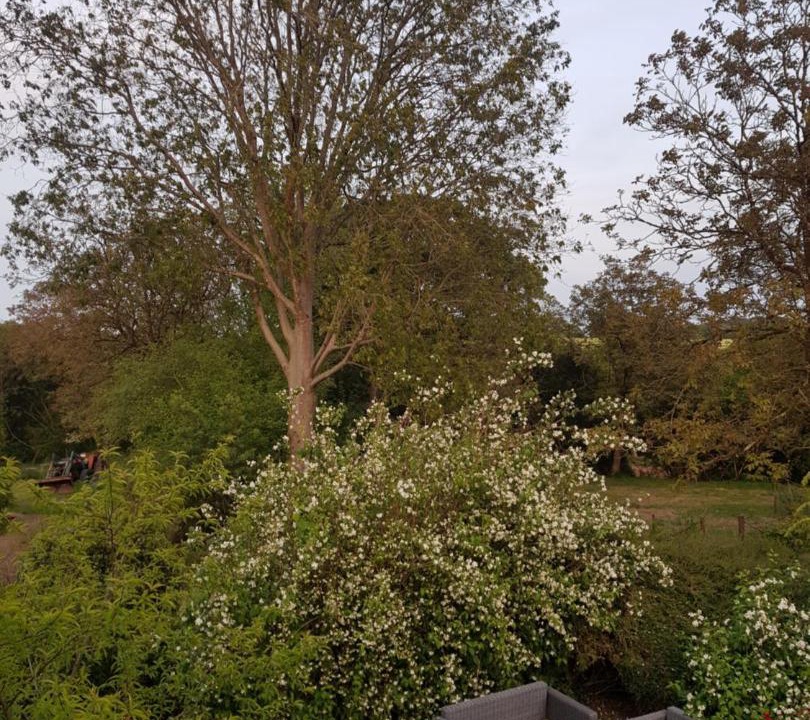 Photo of Others in Le Saint