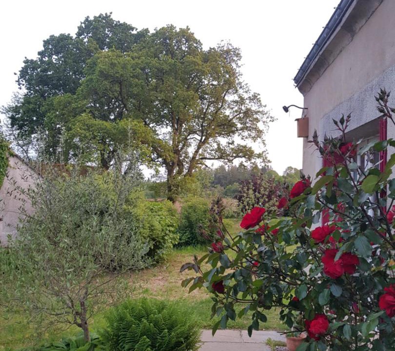 Photo of Others in Le Saint