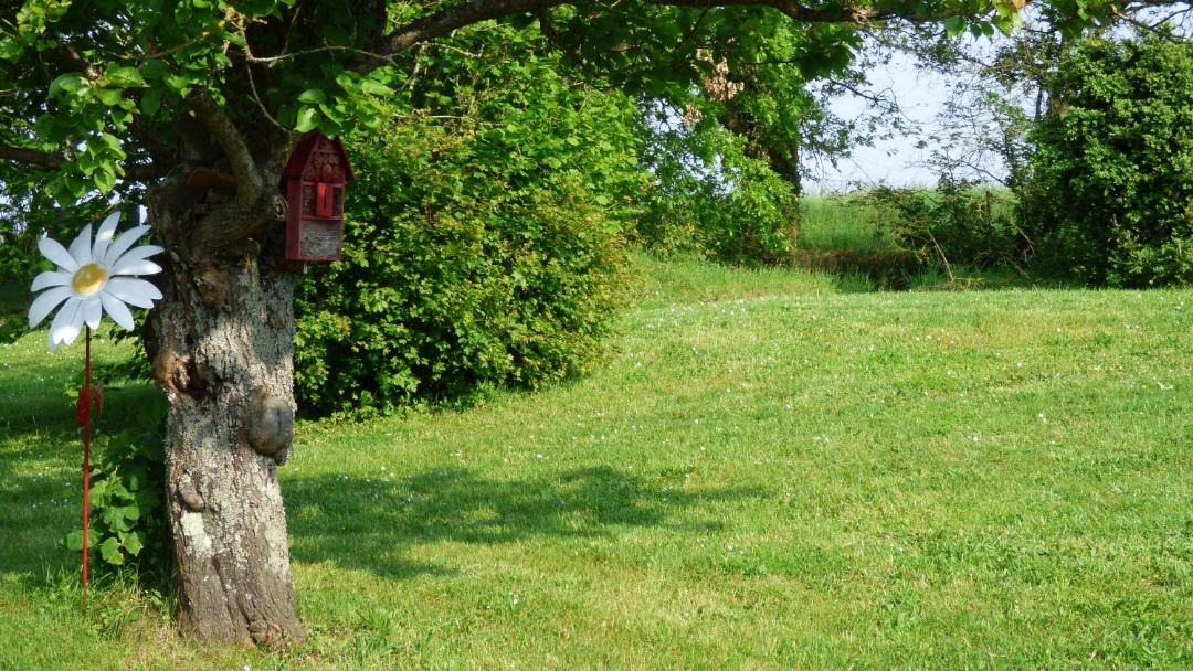 Photo of Outdoor in Chisseaux