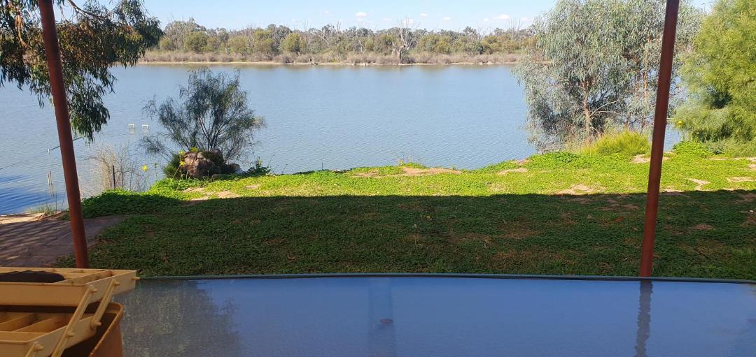 Photo of Others in Winkie