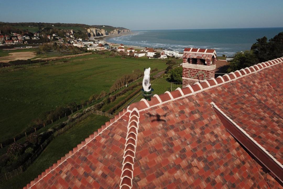 Photo of Others in Pourville-sur-Mer