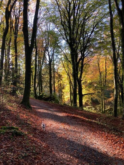 Photo of Others in Le Bez