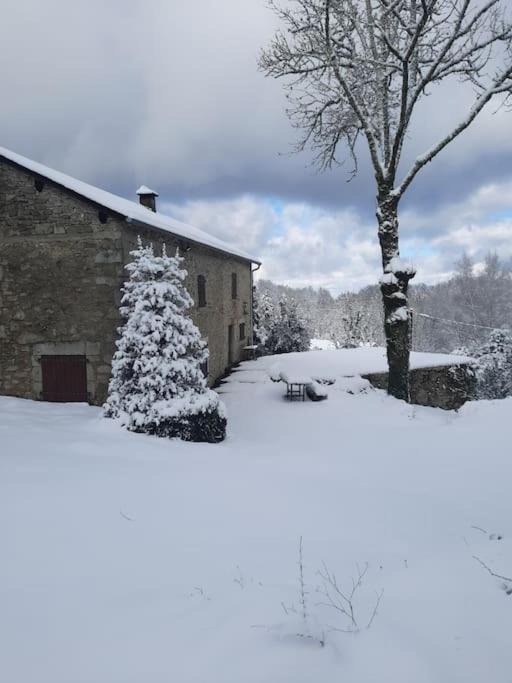 Photo of Others in Le Bez