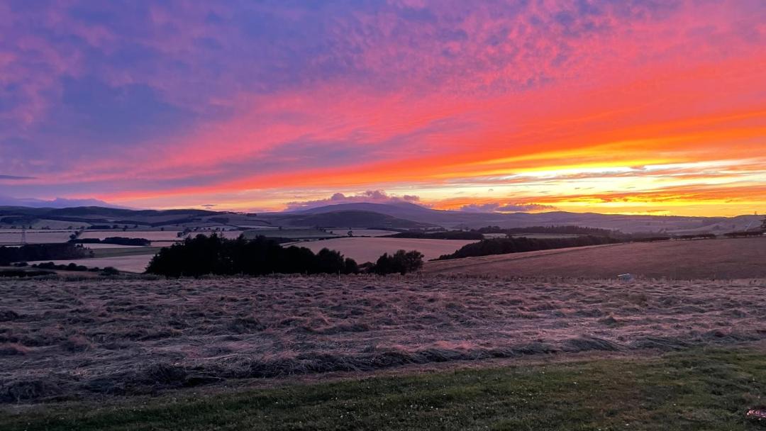 Photo of Others in Glanton