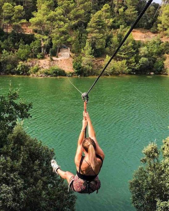 Photo of Others in Trebes