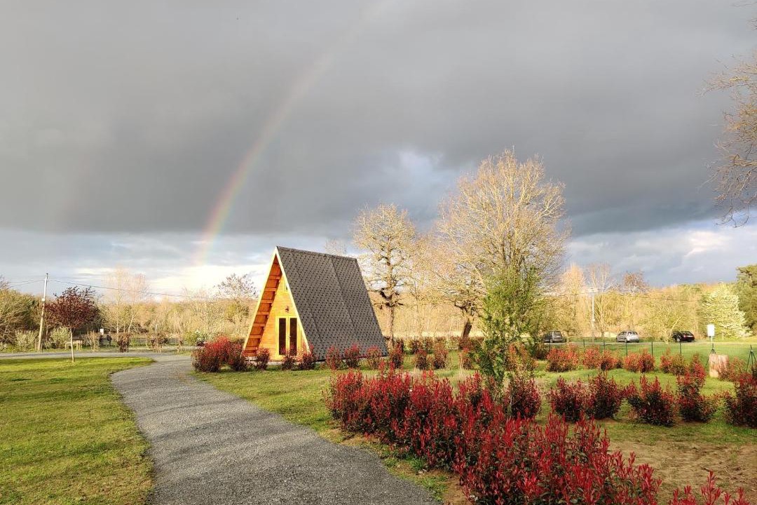 Photo of Others in Vivy