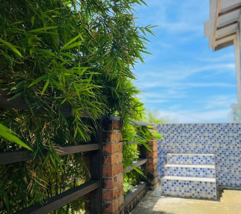 Photo of Others in Marang