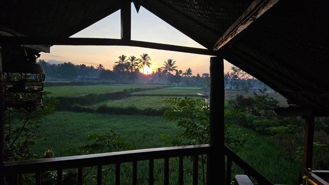 Photo of Others in Tetebatu