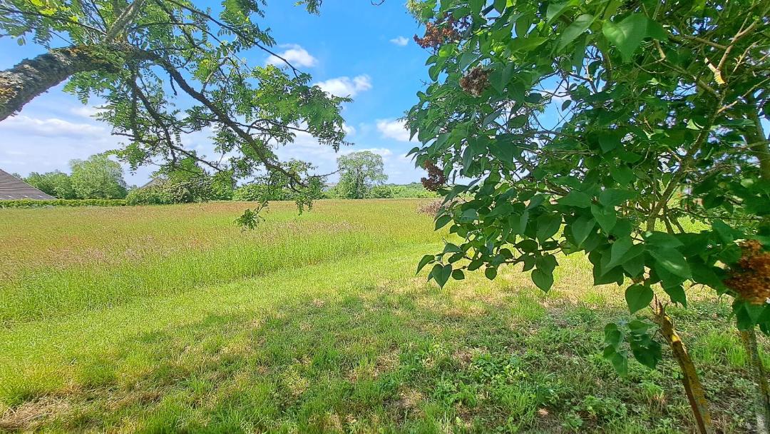Photo of Outdoor in Azay-le-Rideau
