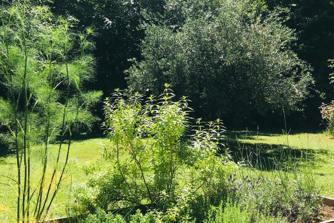 Photo of Outdoor in Plesse