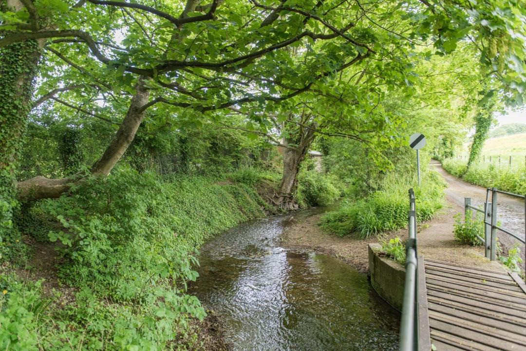 Photo of Others in Patrixbourne