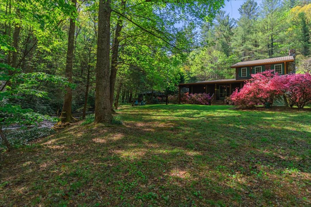 Photo of Others in Cherry Log