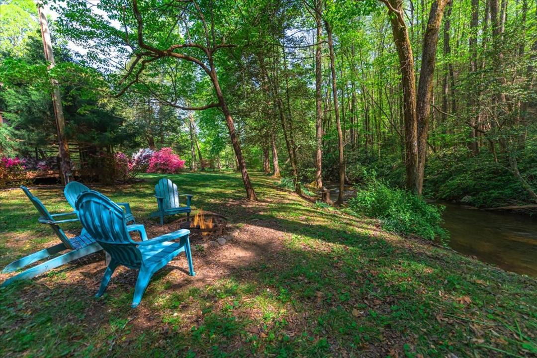 Photo of Others in Cherry Log