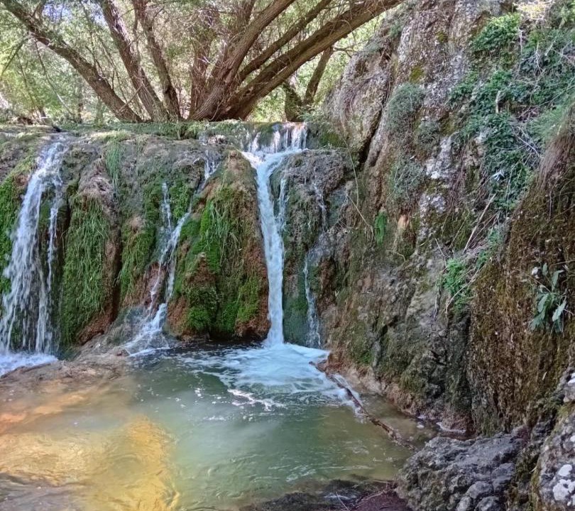 Photo of Others in Alcala de la Selva