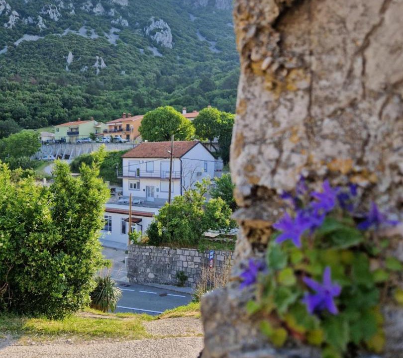 Photo of Buildings in Plomin