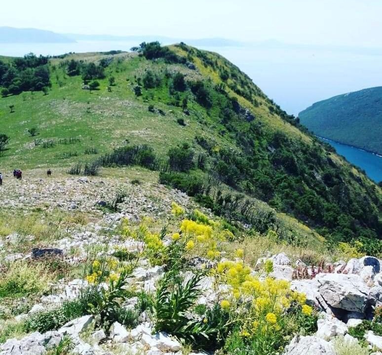 Photo of Others in Plomin