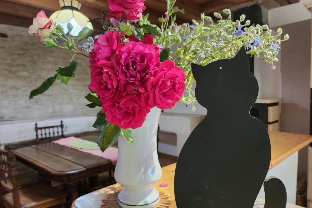 Photo of Others in Nalliers