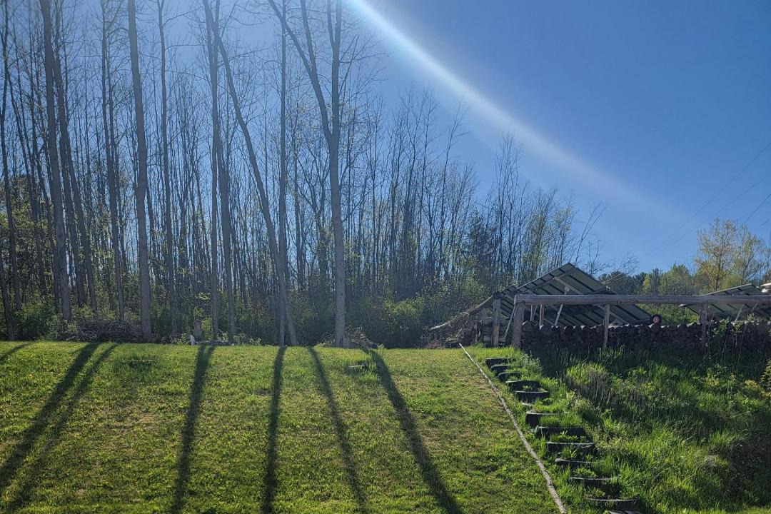 Photo of Others in South Burlington