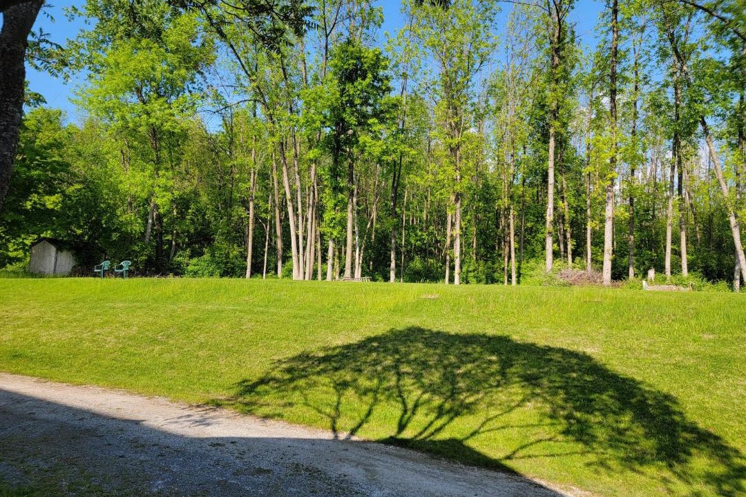 Photo of Others in South Burlington