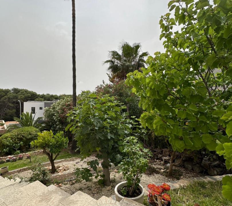 Photo of Others in Dehesa de Campoamor