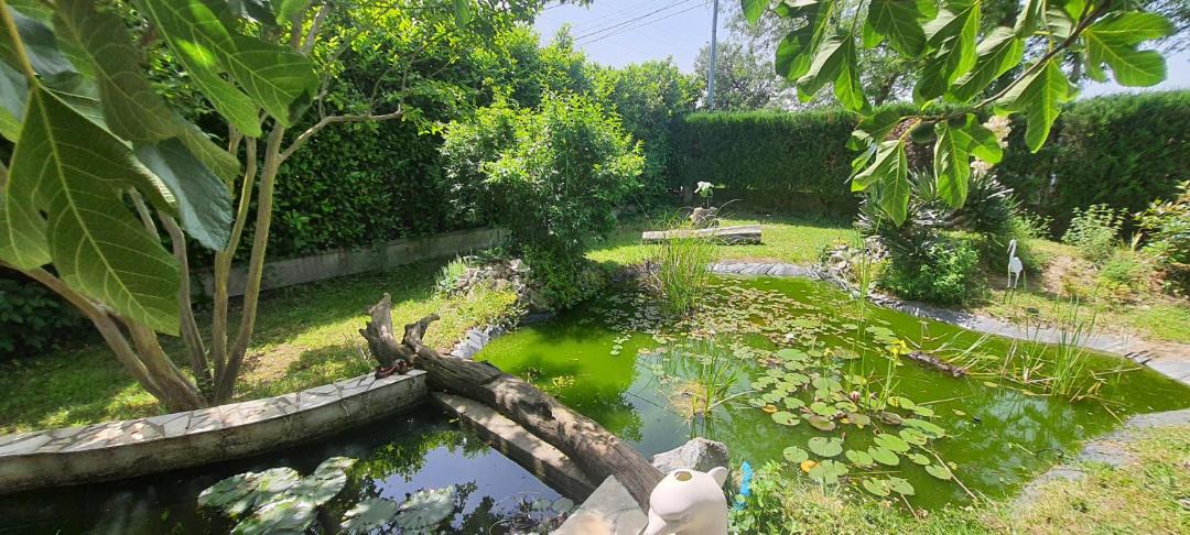 Photo of Others in Cintegabelle