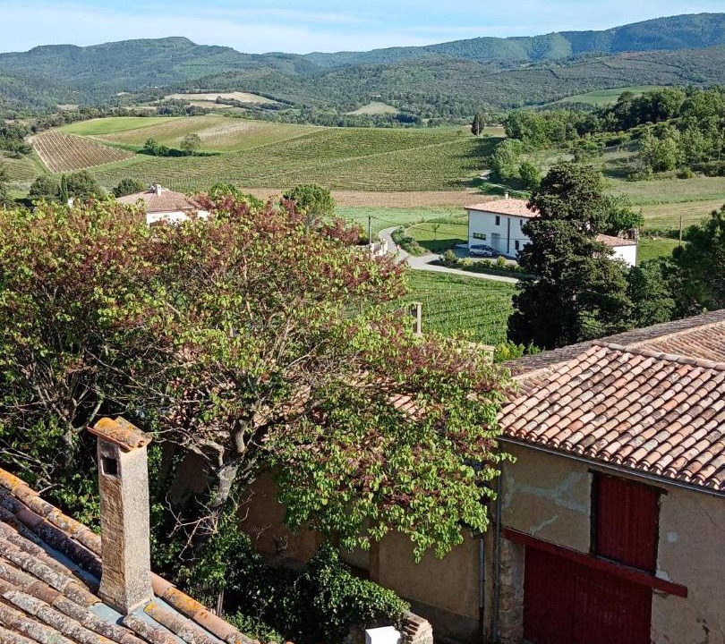 Photo of Others in Gardie