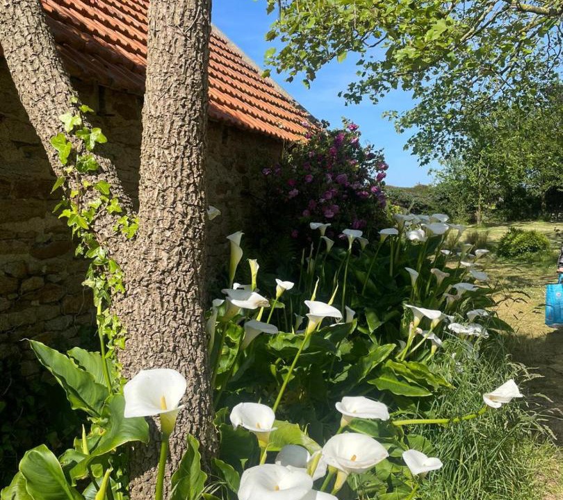 Photo of Others in Plounevez-Lochrist