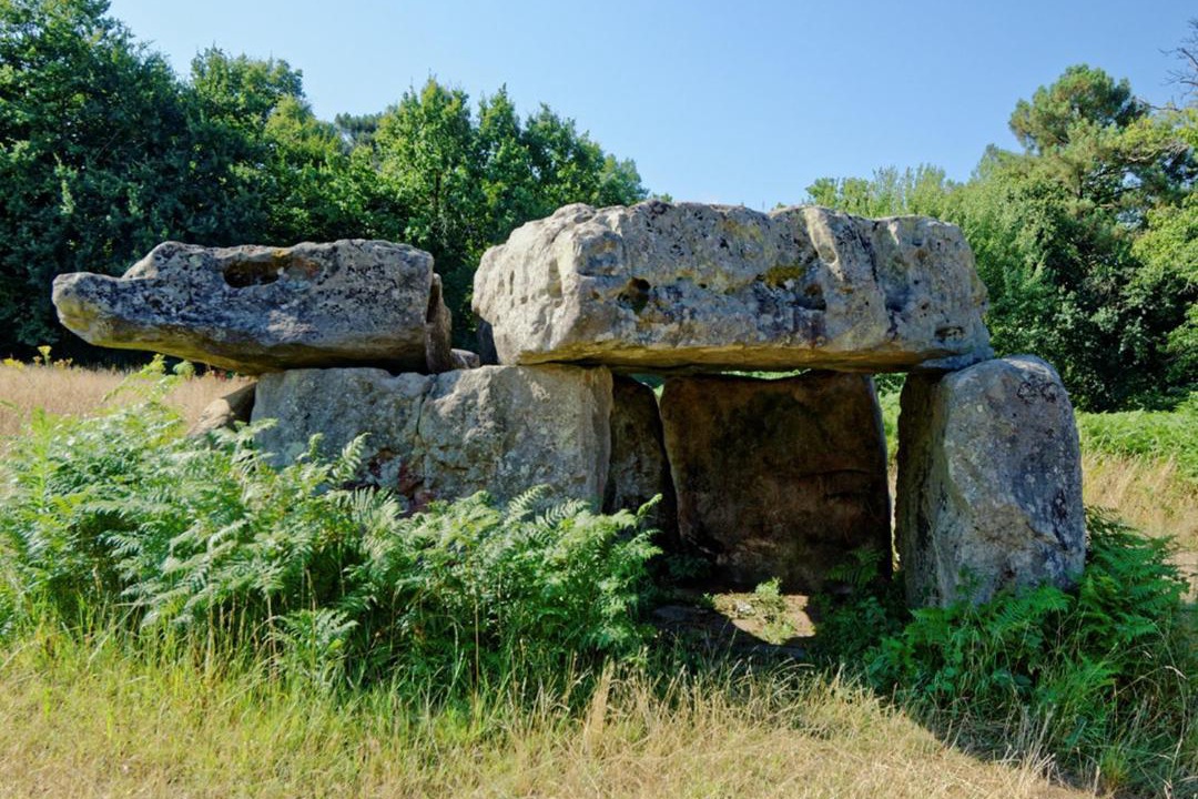 Photo of Others in Saint-Brice
