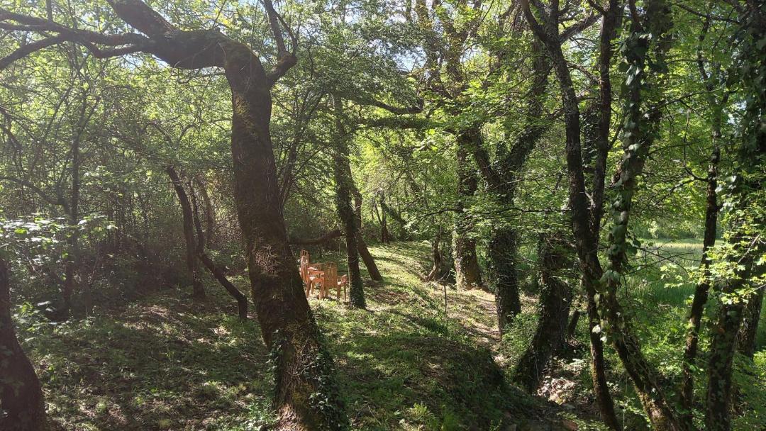Photo of Outdoor in Noyers-sur-Jabron